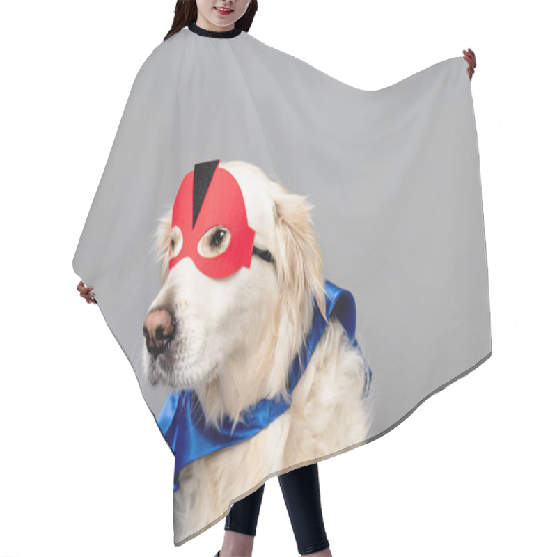 Personality  White Golden Retriever With A Red Hero Mask And Blue Cape Against A Grey Seamless Background Hair Cutting Cape