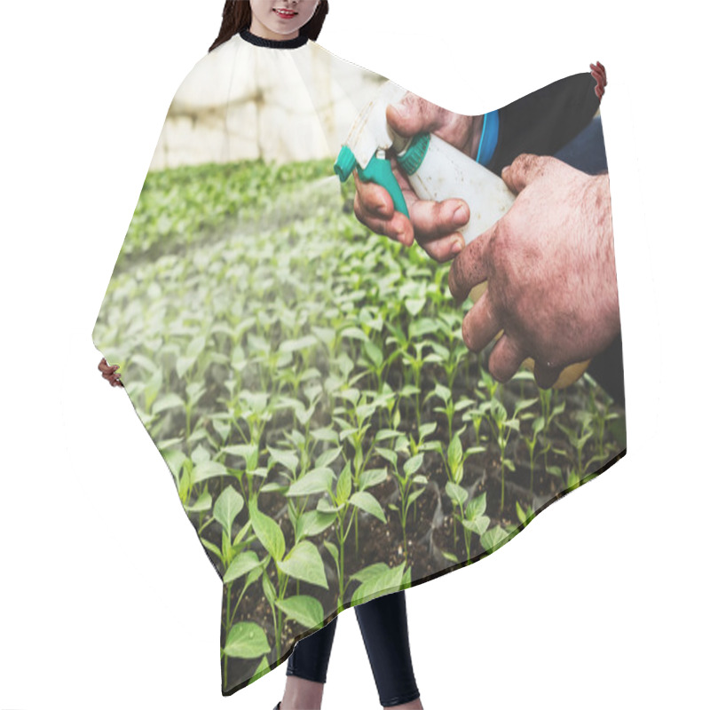 Personality  Close Up In The Hands Of A Man While Spraying The Small Plants I Hair Cutting Cape