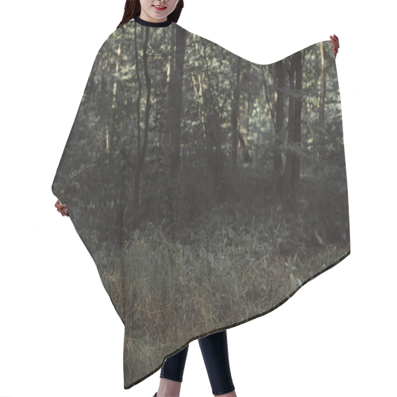 Personality  View Of Dark Green Forest Texture Hair Cutting Cape