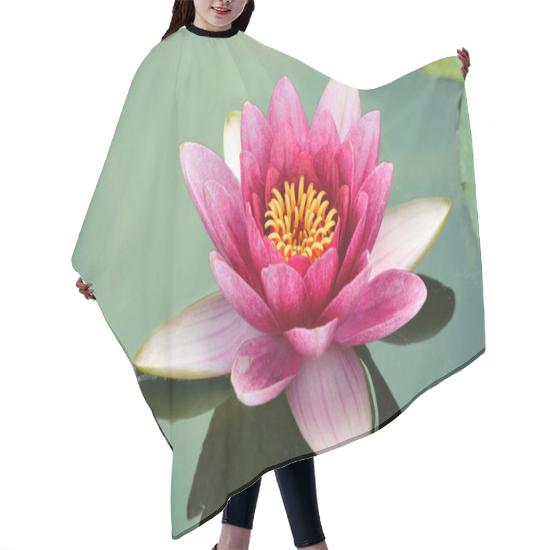 Personality  Close-up Lotus Flower Hair Cutting Cape