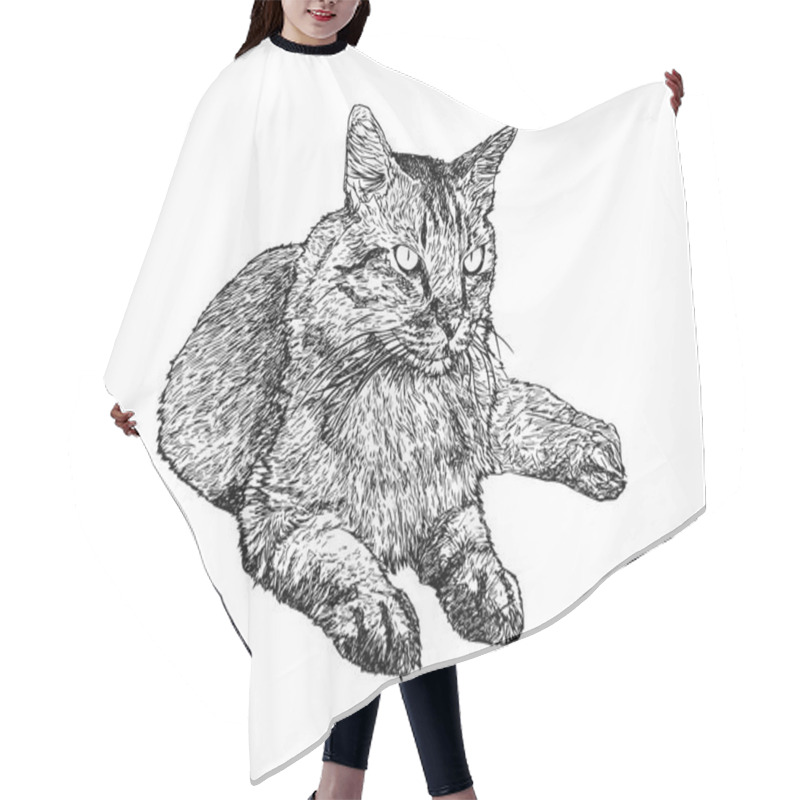 Personality  Sitting Cat , Hand Draw Sketch Vector. Hair Cutting Cape