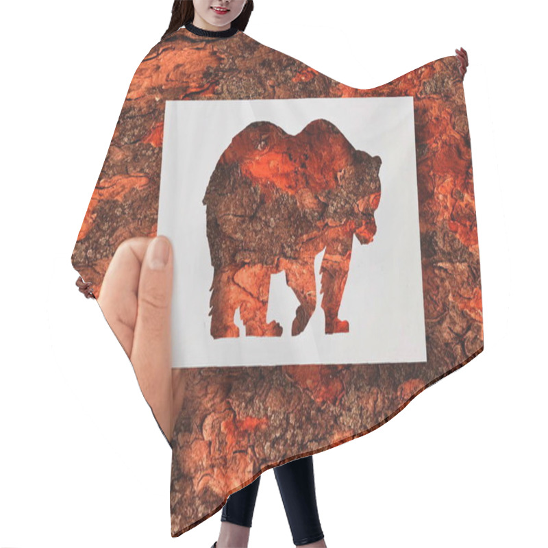 Personality  Man, Flora And Fauna. A Hand Holds A Paper Stencil Of A Bear Against The Background Of A Tree Bark.  Hair Cutting Cape