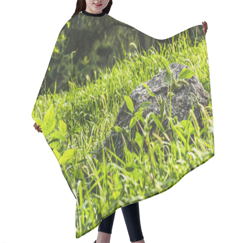 Personality  Close-up Shot Of Boulder Lying In Green Grass Under Sunlight Hair Cutting Cape