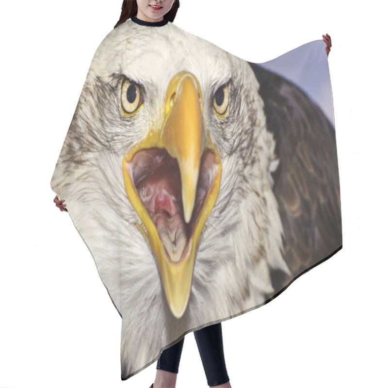 Personality  Close Up Portrait Of American Bald Eagle Squawking Hair Cutting Cape