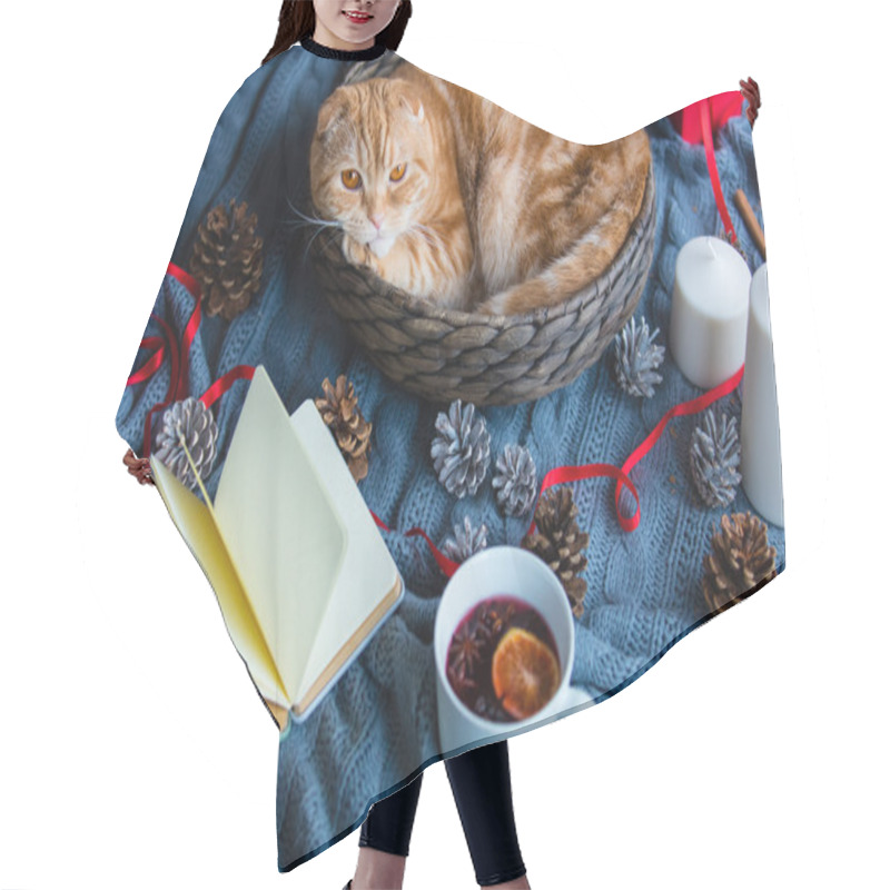 Personality  Ginger Cat In Christmas Basket  Hair Cutting Cape