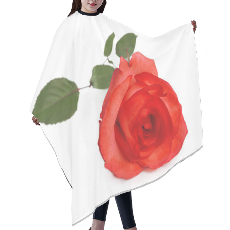 Personality  Red Rose Flower, Isolated  Hair Cutting Cape