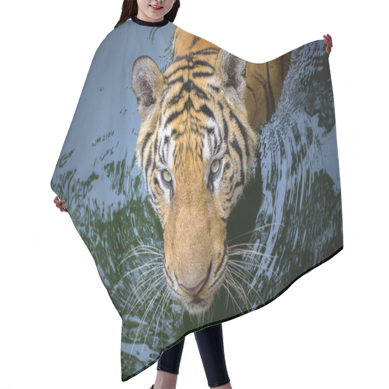 Personality  Tiger Face Hair Cutting Cape