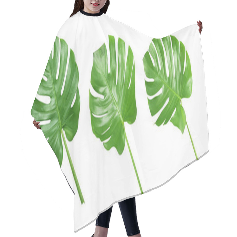 Personality  Tropical Green Leaves On White Background Hair Cutting Cape