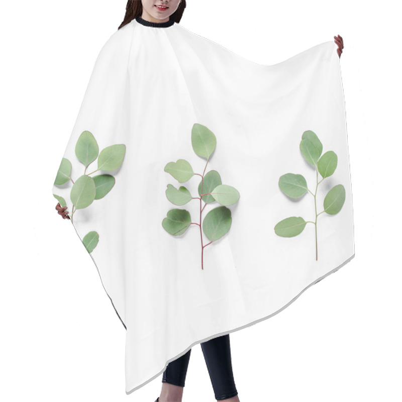 Personality  Green Branch, Leaves Eucalyptus Isolated On White Background. Flat Lay, Top View Minimal Concept. Hair Cutting Cape