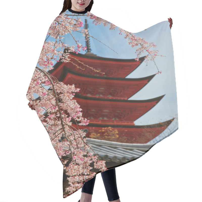 Personality  Pagoda Hair Cutting Cape