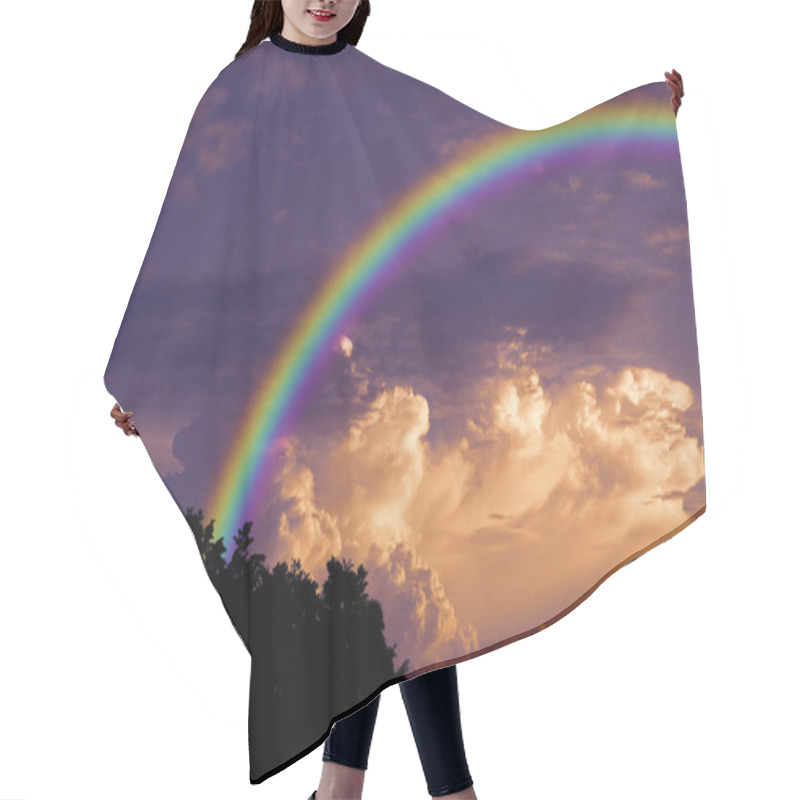 Personality  Rainbow Over Sunset Sky And Back Silhouette Dry Branch Tree, Concept God Bless, Wish, Lucky, Gift, Inspiration, Help, Love, Phenomenon Hair Cutting Cape