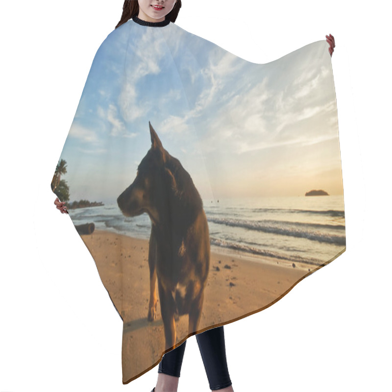 Personality  Dog On The Beach Hair Cutting Cape