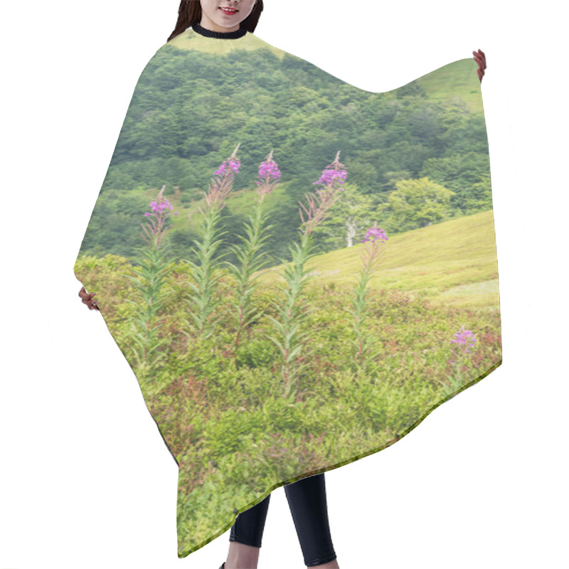 Personality  Capturing The Vibrant Display Of Fireweed Flowers In Full Bloom On A Meadow In The Carpathian Mountains, Showcasing The Beauty Of The Alpine Region Hair Cutting Cape