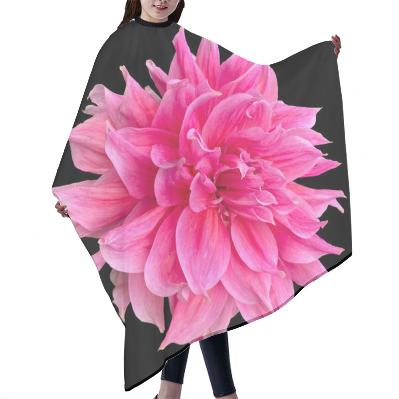 Personality   Dahlia Pinnata Flower Black Background Hair Cutting Cape