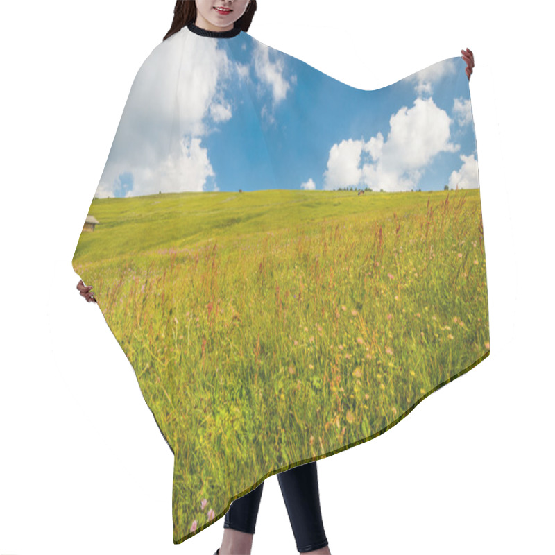 Personality  Meadow Hair Cutting Cape