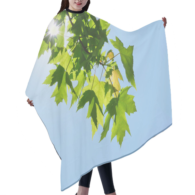 Personality  Back Lighting On Maple Leaves Hair Cutting Cape