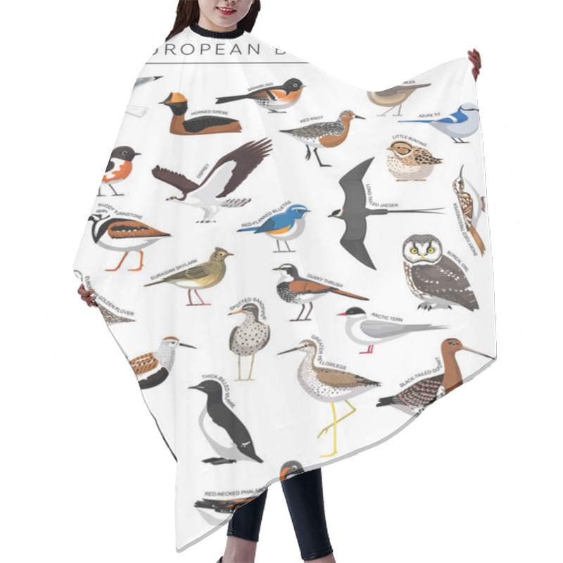 Personality  European Birds Set Cartoon Vector Character 6 Hair Cutting Cape