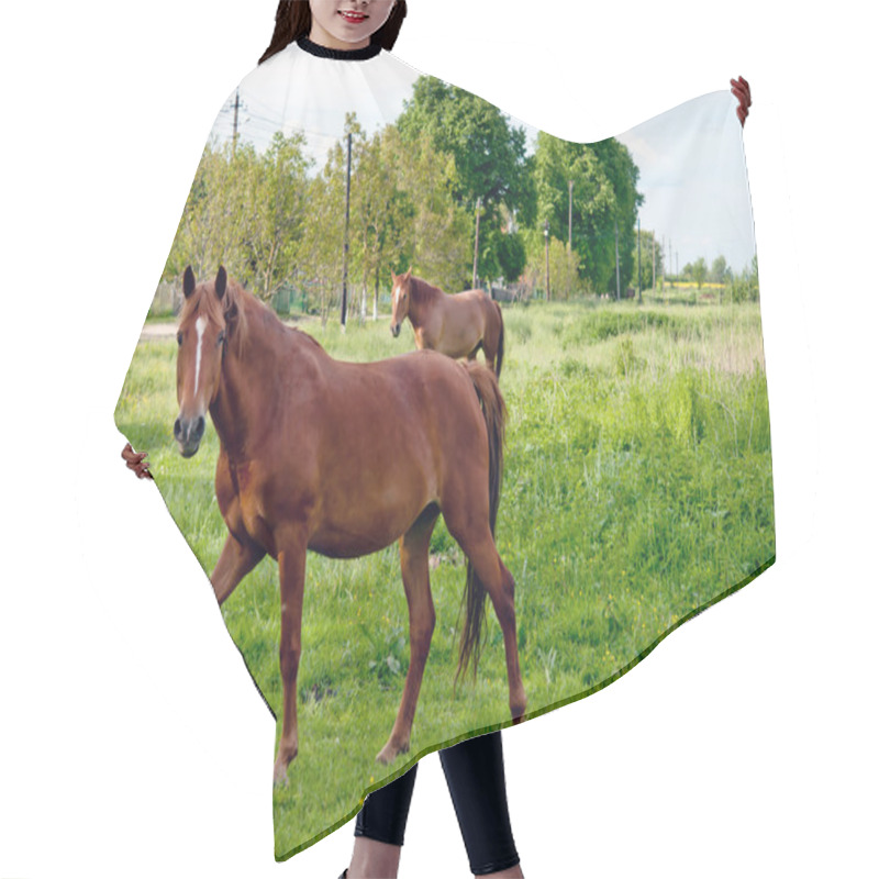 Personality  Rural Landscape Hair Cutting Cape