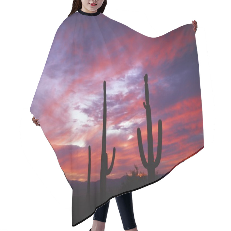 Personality  Cacti Silhouetted In The Sunset Sky Hair Cutting Cape