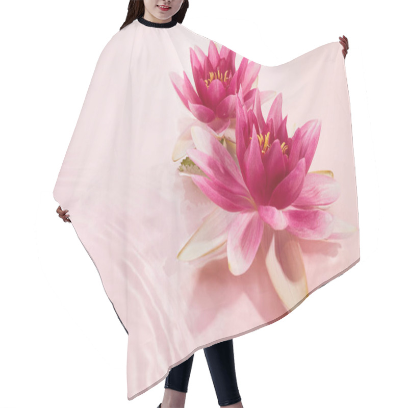 Personality  A Beautiful Pink Waterlily Or Lotus Flower In Pink Water. Spa And Cosmetic Concept Background. Hair Cutting Cape