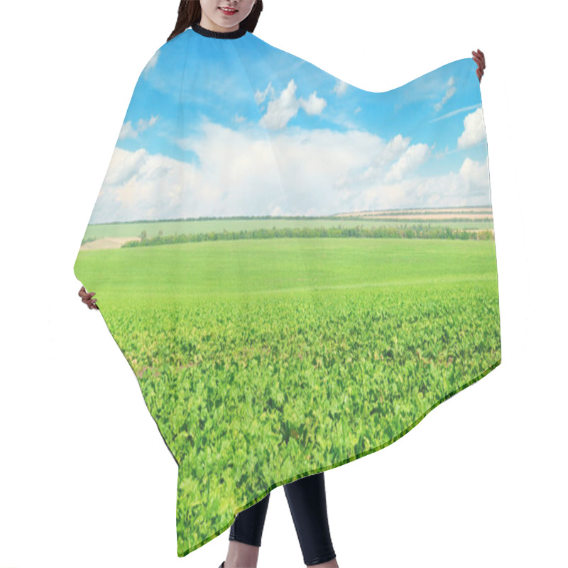 Personality  Picturesque Green Beet Field And Blue Sky With Light Clouds. Hair Cutting Cape