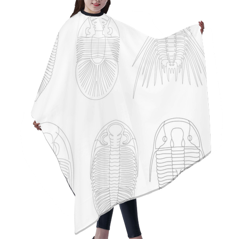 Personality  Trilobite Hair Cutting Cape