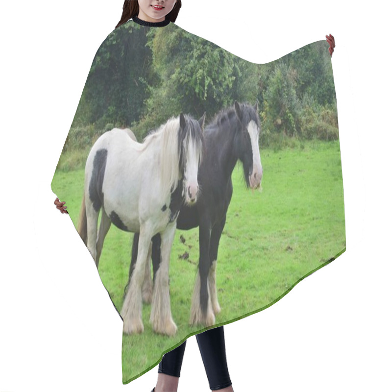 Personality  Two Tinker Horses In Ireland Hair Cutting Cape