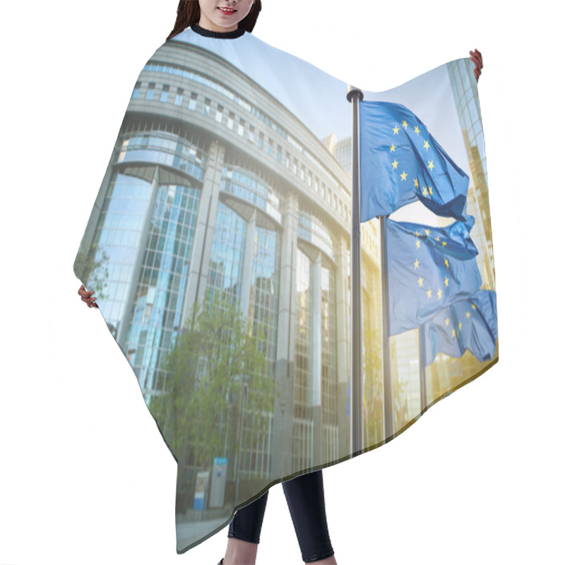 Personality  European Union Flag Against Parliament In Brussels Hair Cutting Cape