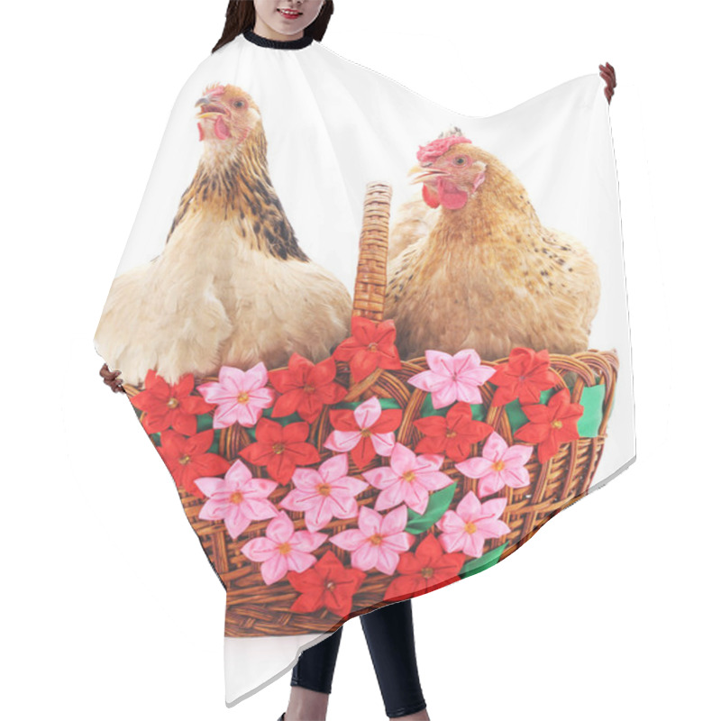 Personality  Two Brown Chicken In A Basket. Hair Cutting Cape