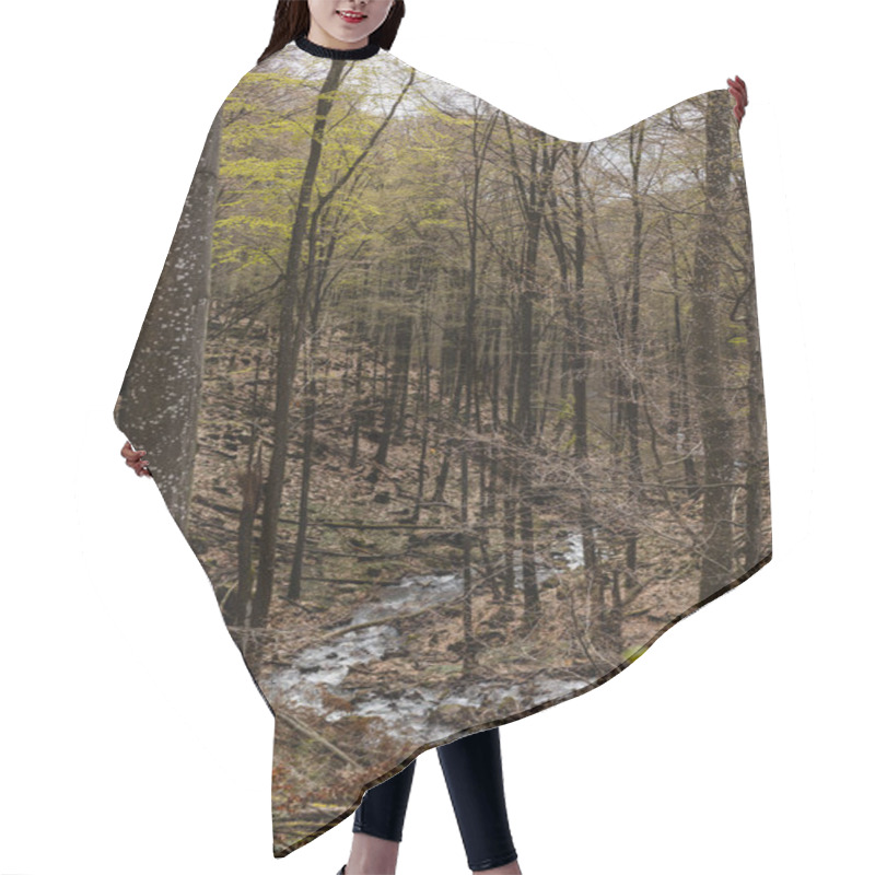 Personality  Mountain Creek And Woods In Autumn Forest Hair Cutting Cape