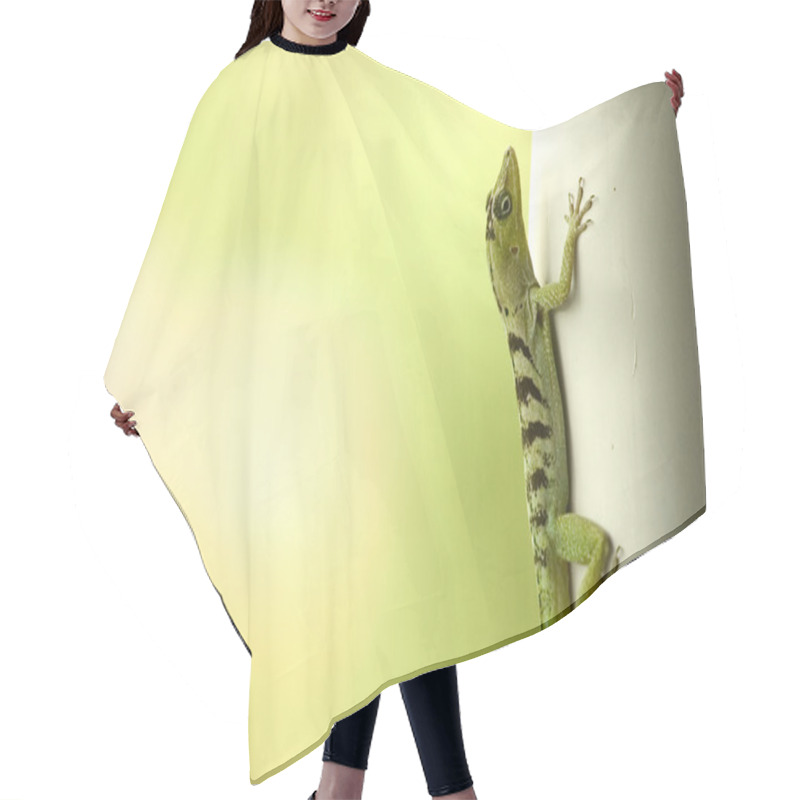 Personality  Green Lizard Hair Cutting Cape