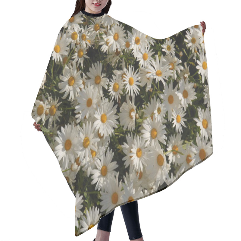 Personality  Margarita Flowers, Wild Filed Flora Hair Cutting Cape