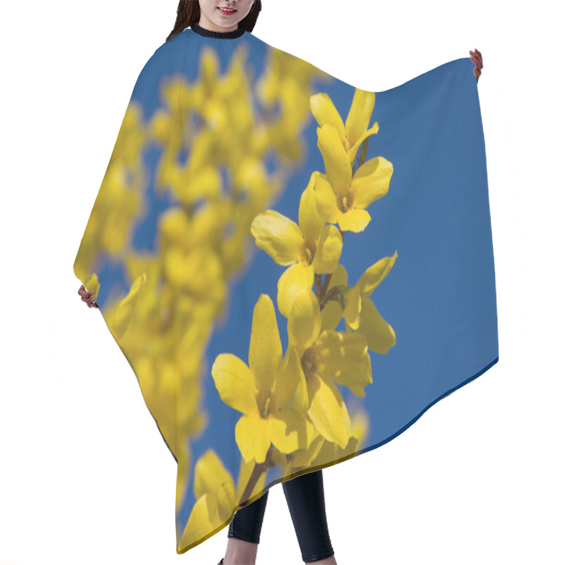 Personality  Forsythia Branches Full Bloom And Blue Sky Hair Cutting Cape