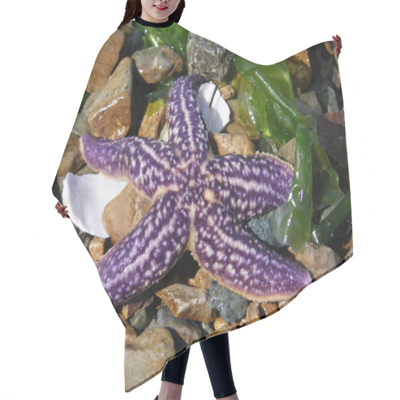 Personality  Starfish On The Beach. Hair Cutting Cape