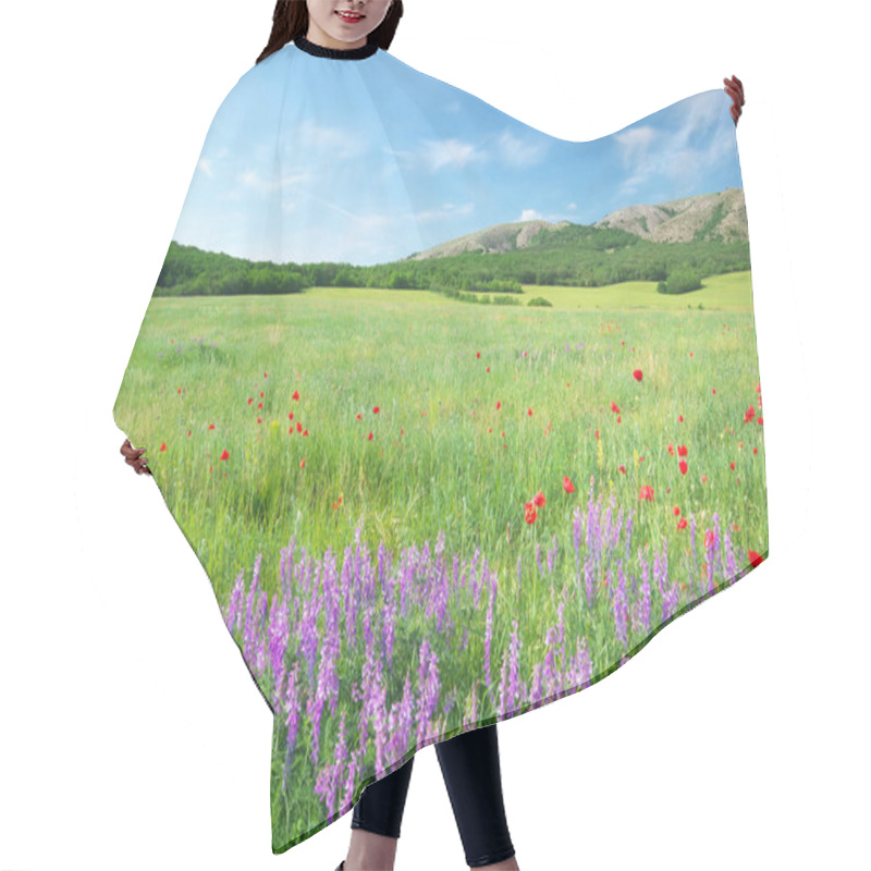 Personality  Green Meadow In Mountain.  Hair Cutting Cape