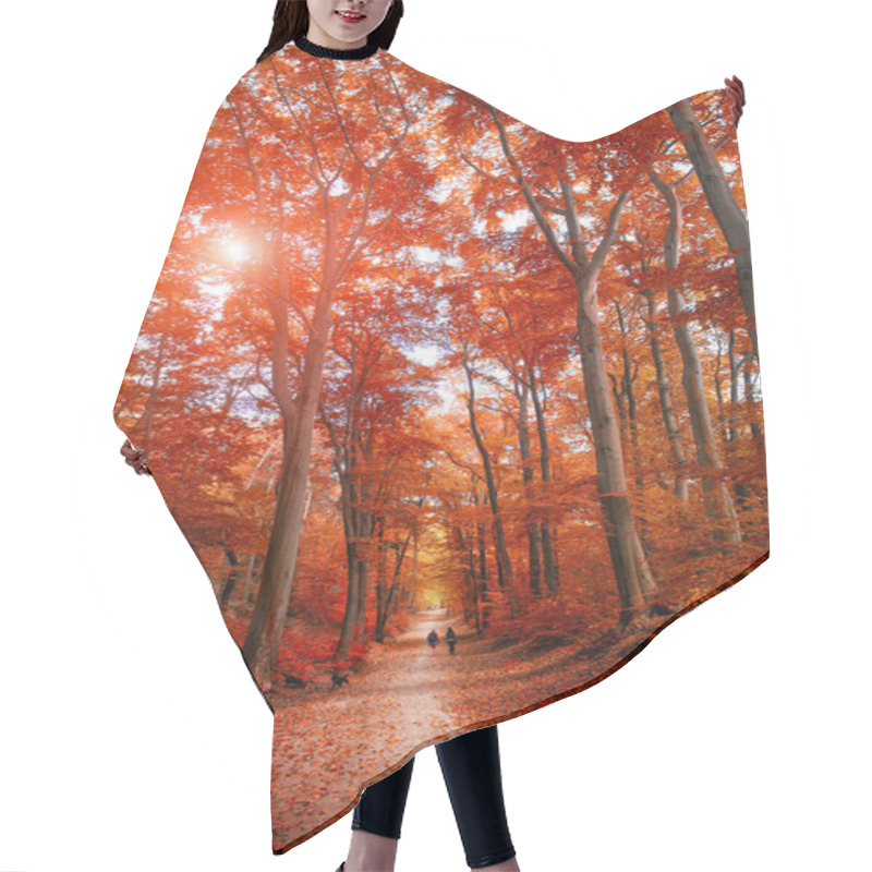 Personality  Pathway Through The Autumn Park Unde Sunlight Hair Cutting Cape