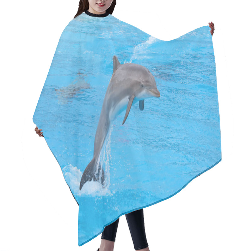 Personality  Bottlenose Dolphin Hair Cutting Cape