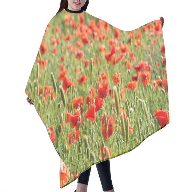 Personality  Red Corn Poppies In An Agricultural Field Hair Cutting Cape