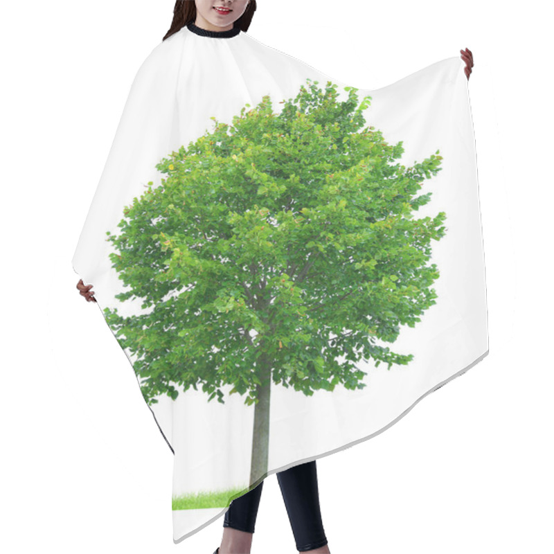 Personality  Linden Tree Isolated  Hair Cutting Cape