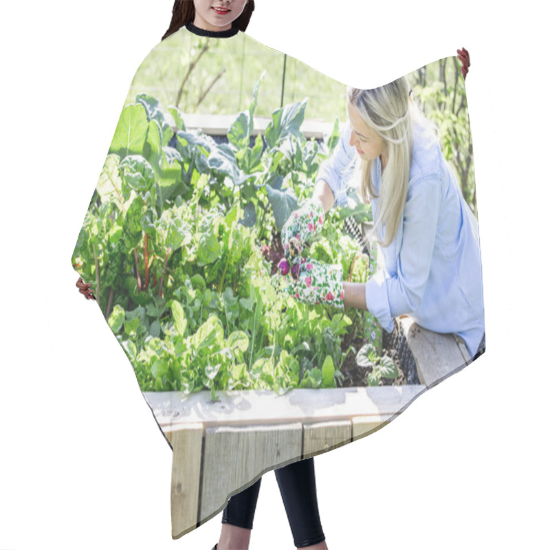 Personality  Blonde Woman In Gloves Harvesting Radishes In Raised Bed At Sunny Day   Hair Cutting Cape