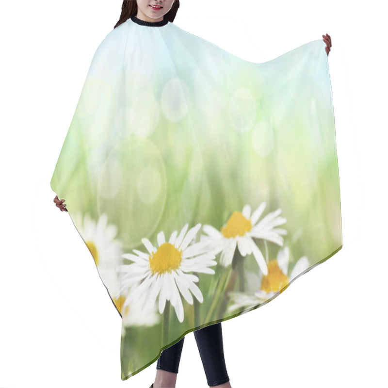 Personality  Daisies On Spring Background. Hair Cutting Cape