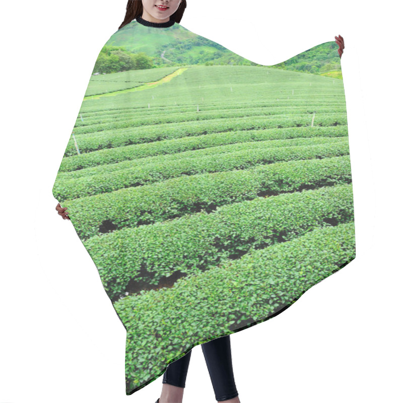 Personality  Beautiful View Of Nature Scenery Hair Cutting Cape