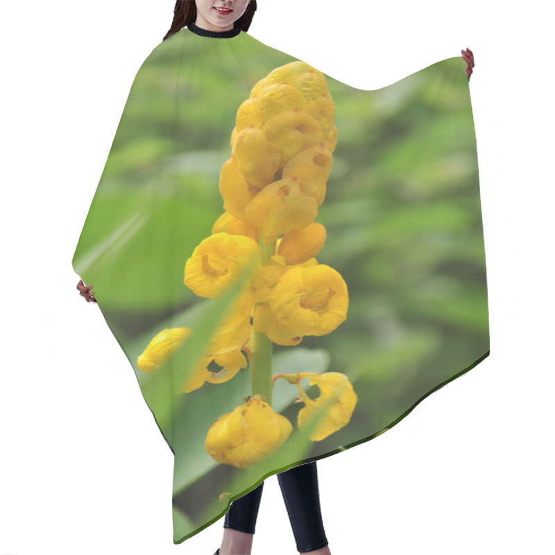 Personality  Candle Bush Flowers With Green Background Hair Cutting Cape