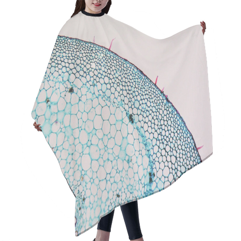 Personality  Mulberry Micrograph Hair Cutting Cape