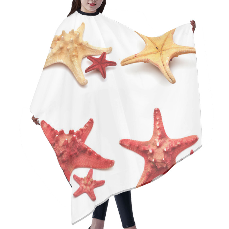 Personality  Sea Stars Collection  Hair Cutting Cape