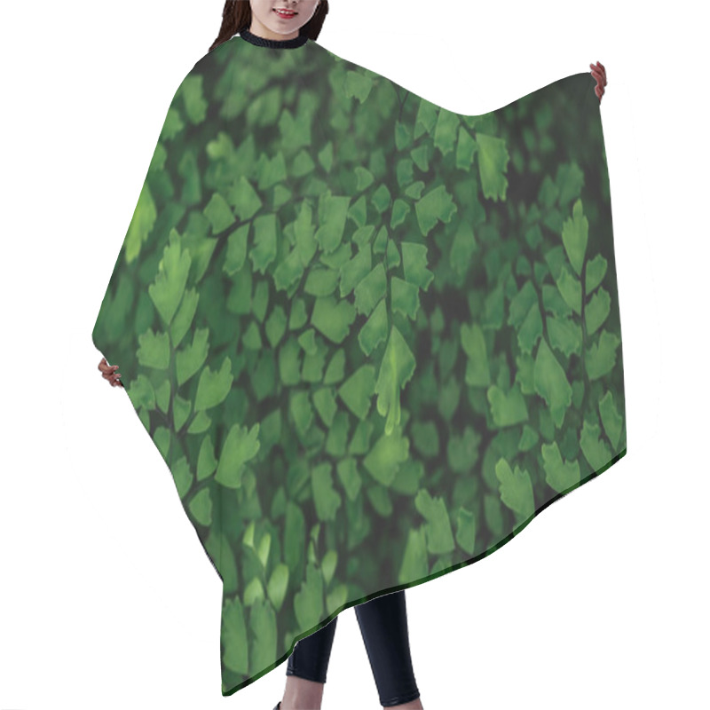 Personality  Green Fresh Bright Textured Leaves On Branches Hair Cutting Cape