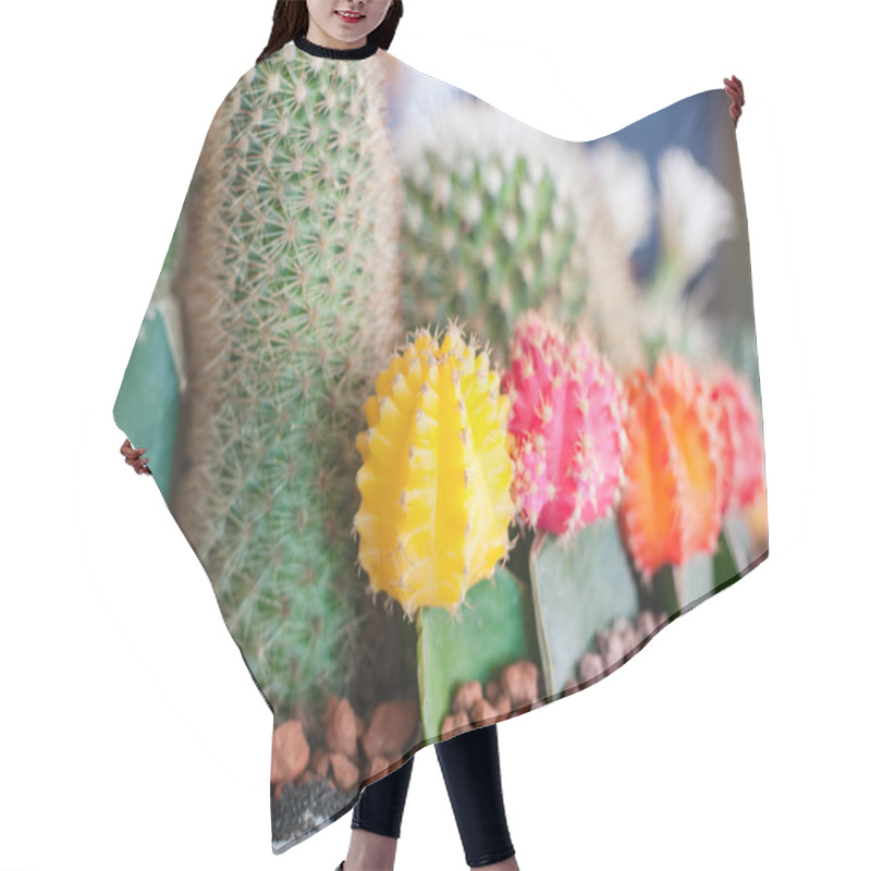 Personality  Cactus Hair Cutting Cape