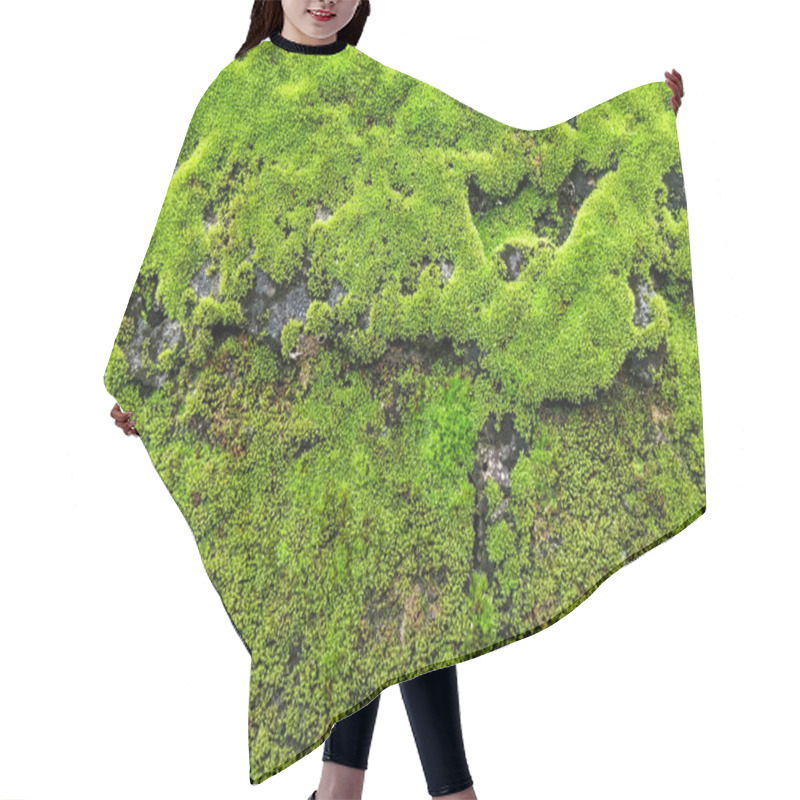 Personality  Fresh Lichen  Hair Cutting Cape