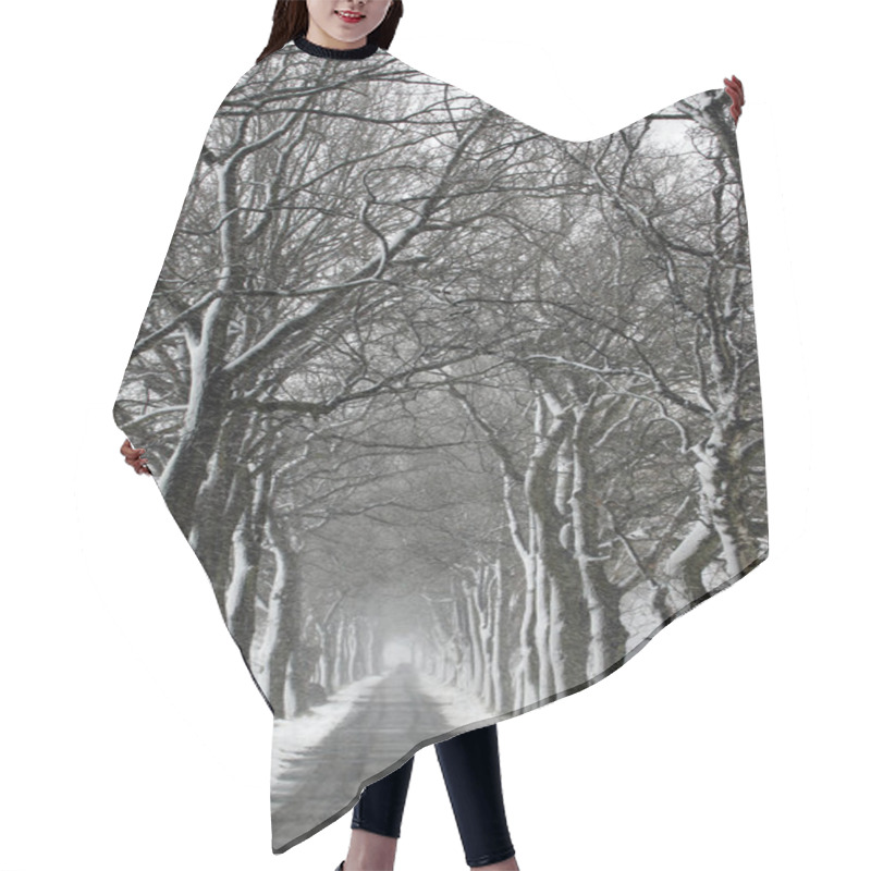 Personality  Road Betweed Trees Hair Cutting Cape