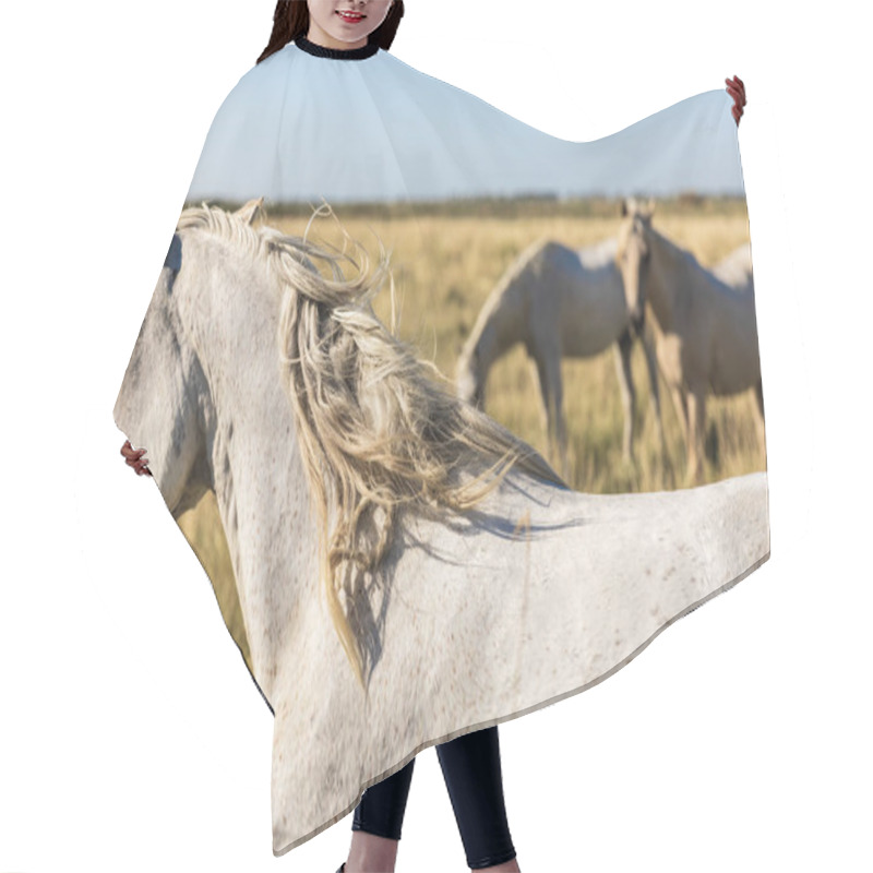 Personality  Animals Hair Cutting Cape